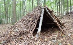 Den building