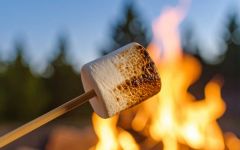 Marshmallows