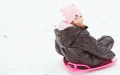 Sledging